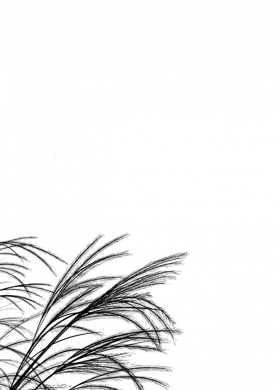 c91-noraneko-no-tama-yukino-minato-hikari-no-kimi-no-saganaki-keikaku-nokiba-no-ogi-lord-hikarus-cunning-plan-nokiba-no-ogi-english-atf