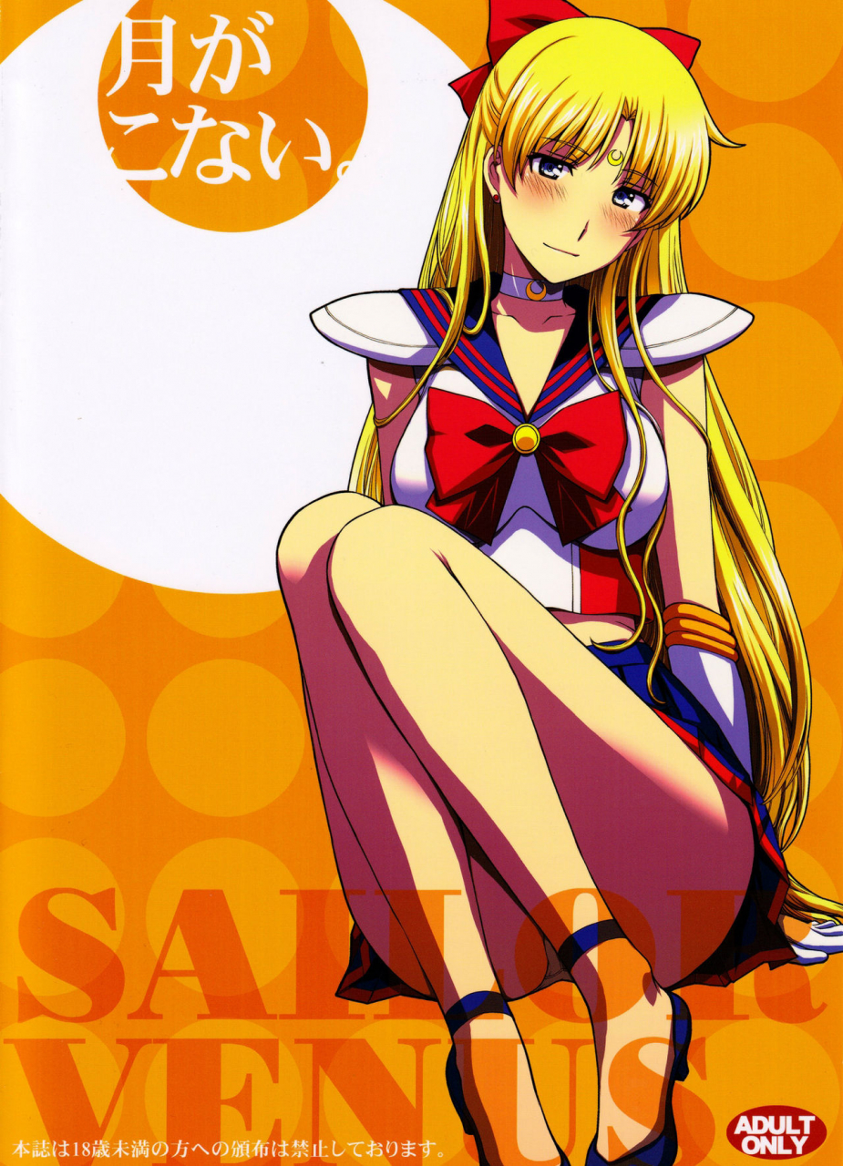 c91-secret-society-m-kitahara-aki-ninshin-shichatta-dareka-tasukete-bishoujo-senshi-sailor-moon-english-doujinscom