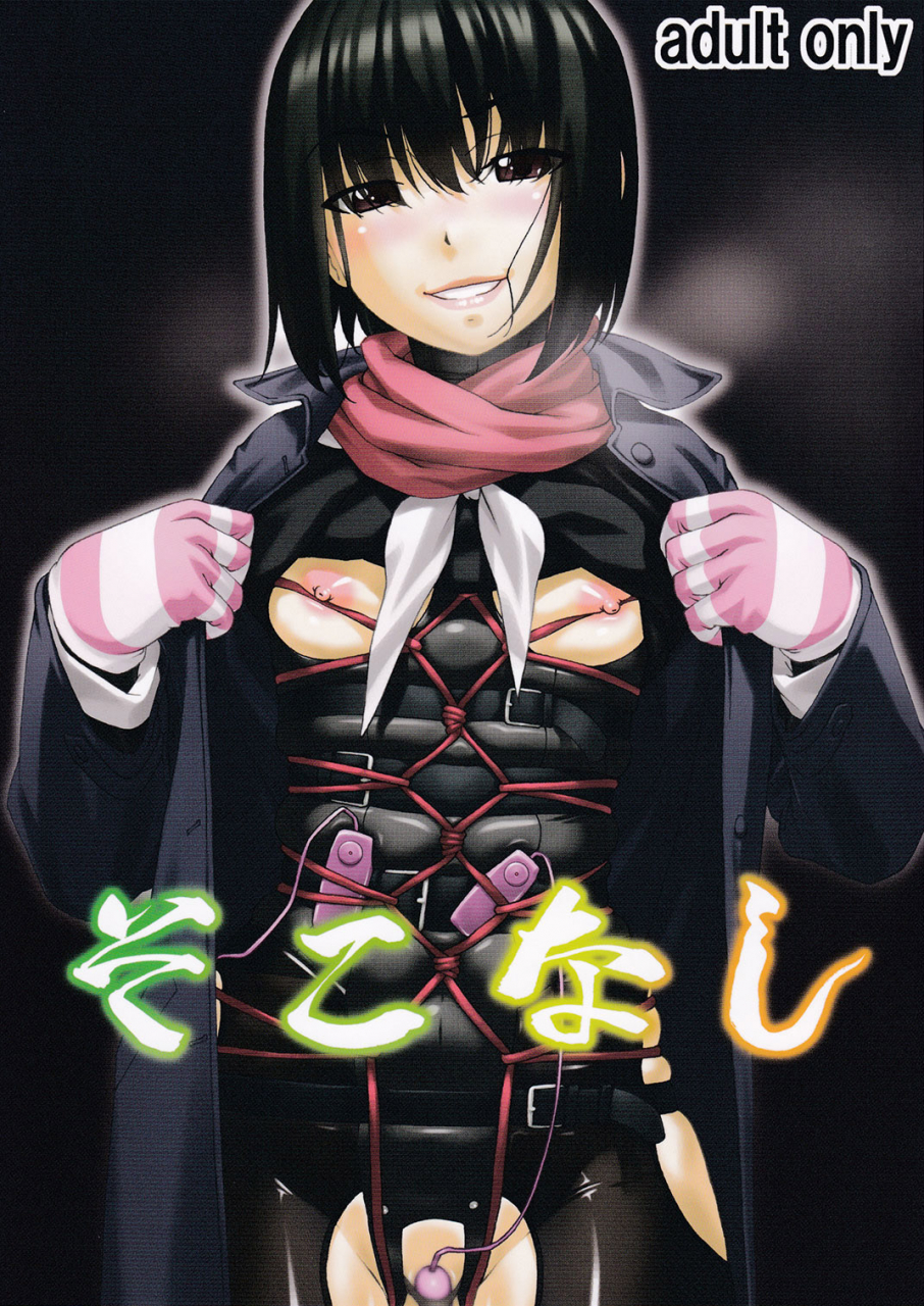 c91-tairikukan-dandoudan-dan-sakura-romako-sokonashi-english-sneikkimies