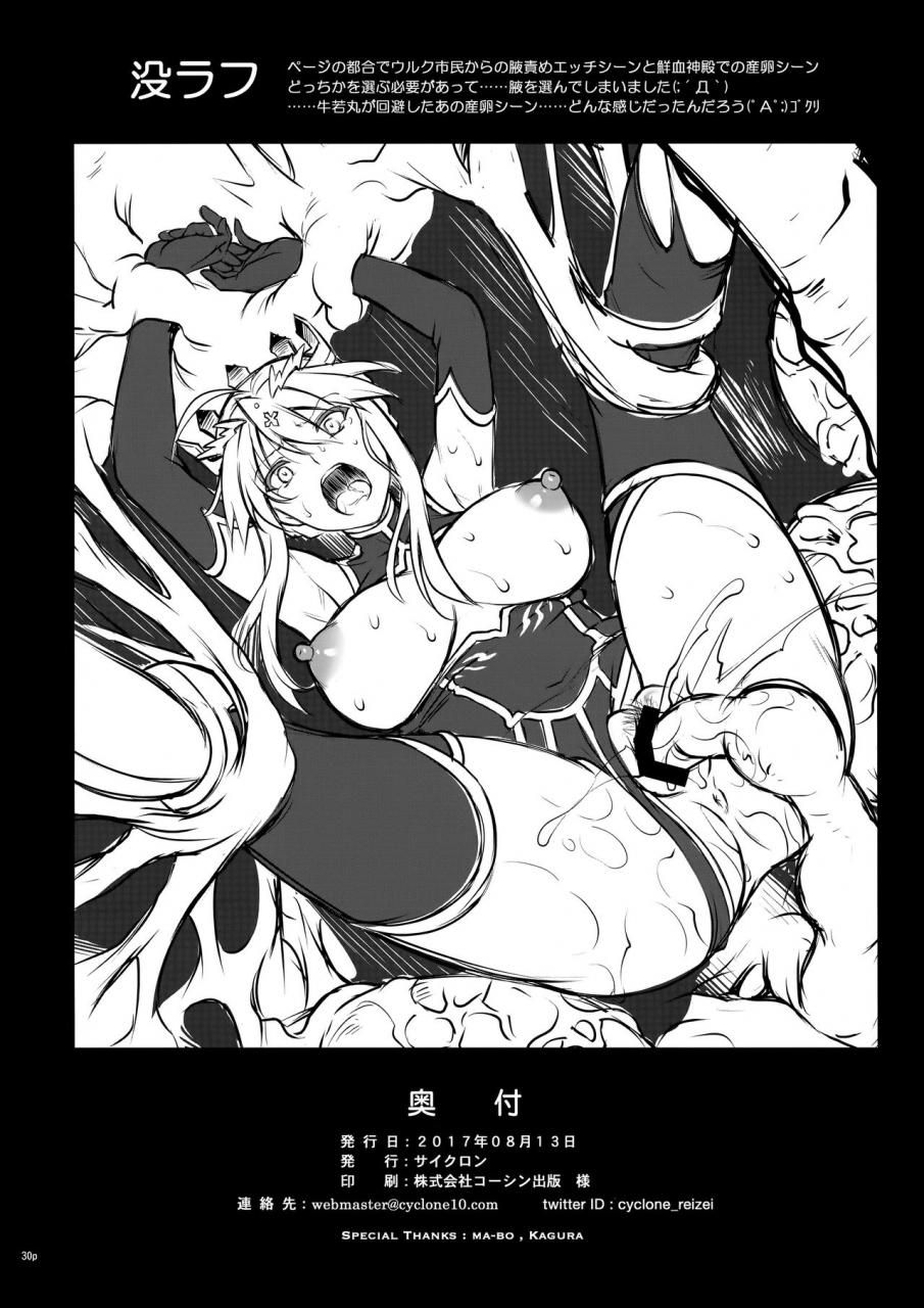 c92-cyclone-izumi-reizei-t-30-do-fategrand-order-english-doujinscom