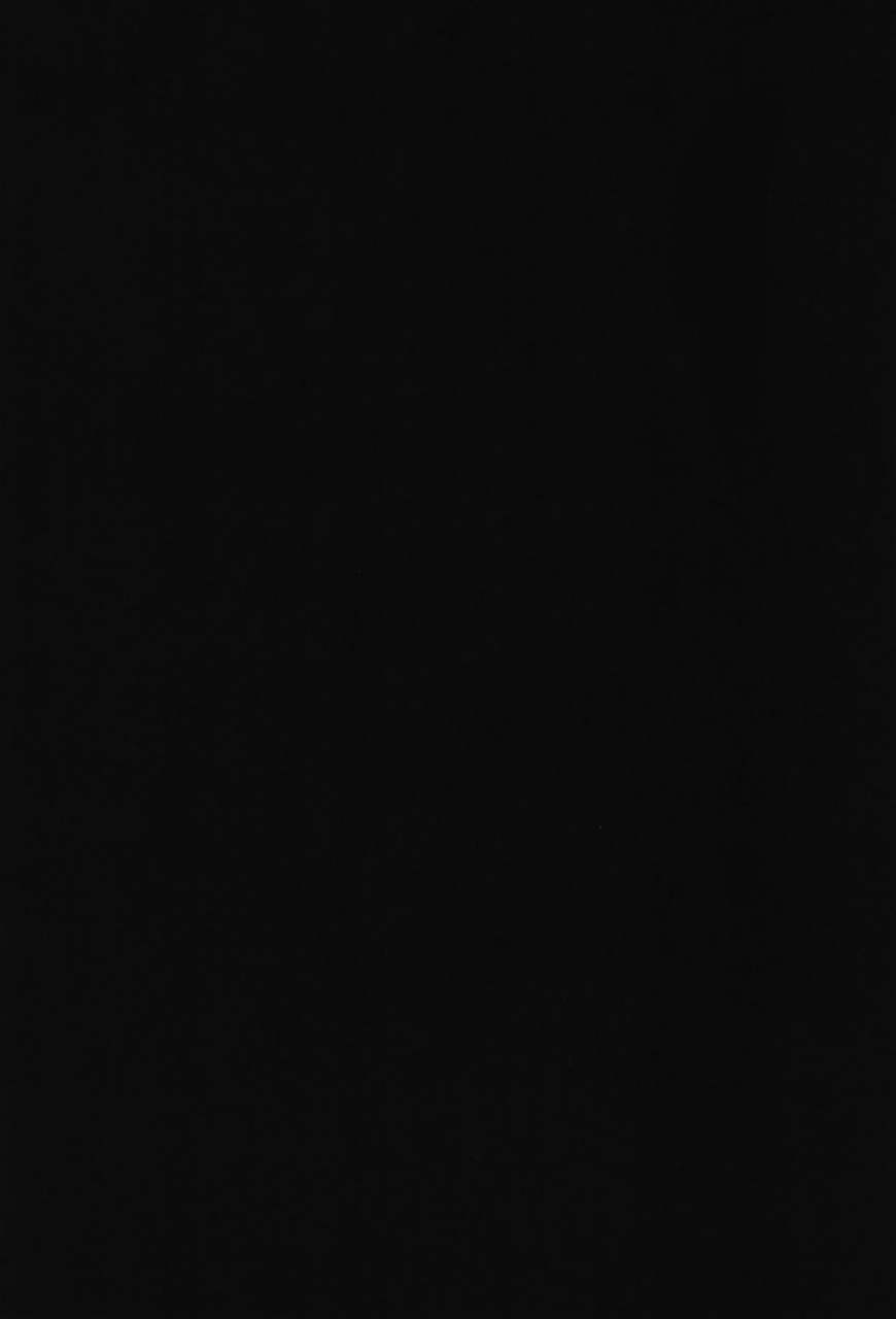 c92-nikka-yuuvik-mob-rape-yuri-on-ice-english