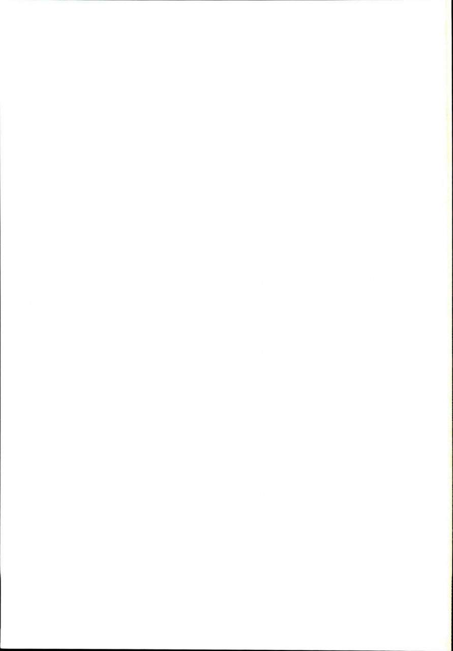 c93-cheese-company-peso-otonari-no-nazrin-wa-hanshokuki-touhou-project-english-arkngthand