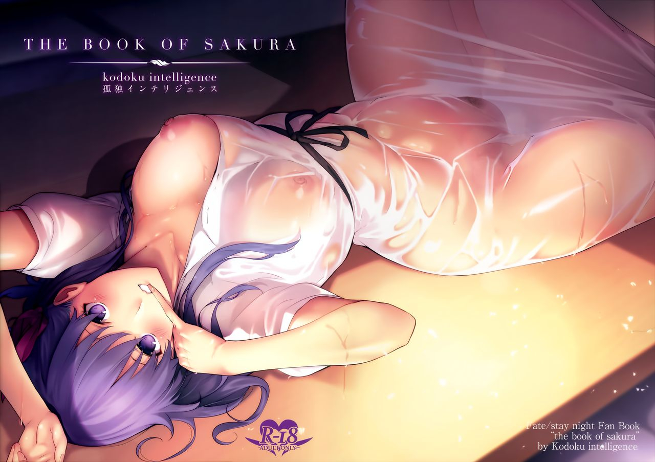 c93-kodoku-intelligence-nanao-the-book-of-sakura-fatestay-night-english-redlantern