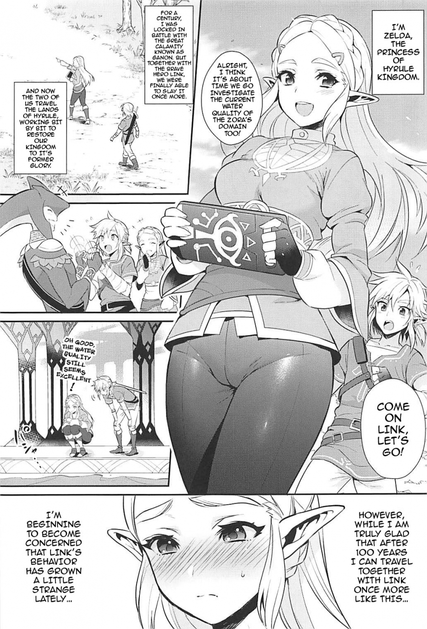 c93-morittokoke-morikoke-hyrule-hanei-no-tame-no-katsudou-activities-for-the-sake-of-hyrules-future-the-legend-of-zelda-english-darknight