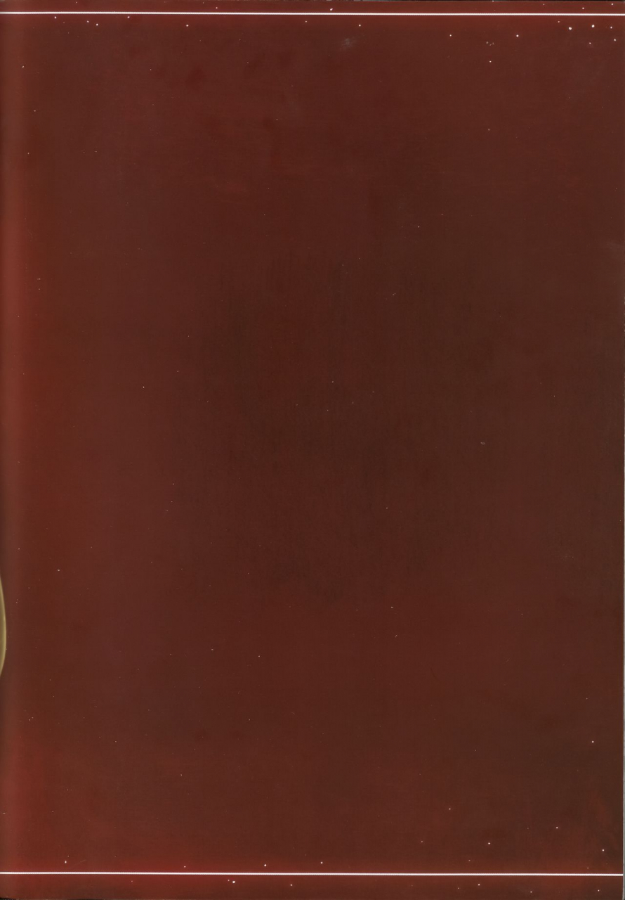 c93-pinpoint-peter-mitsuru-nangoku-mitsuki-tropical-princess-elise-fire-emblem-if-english