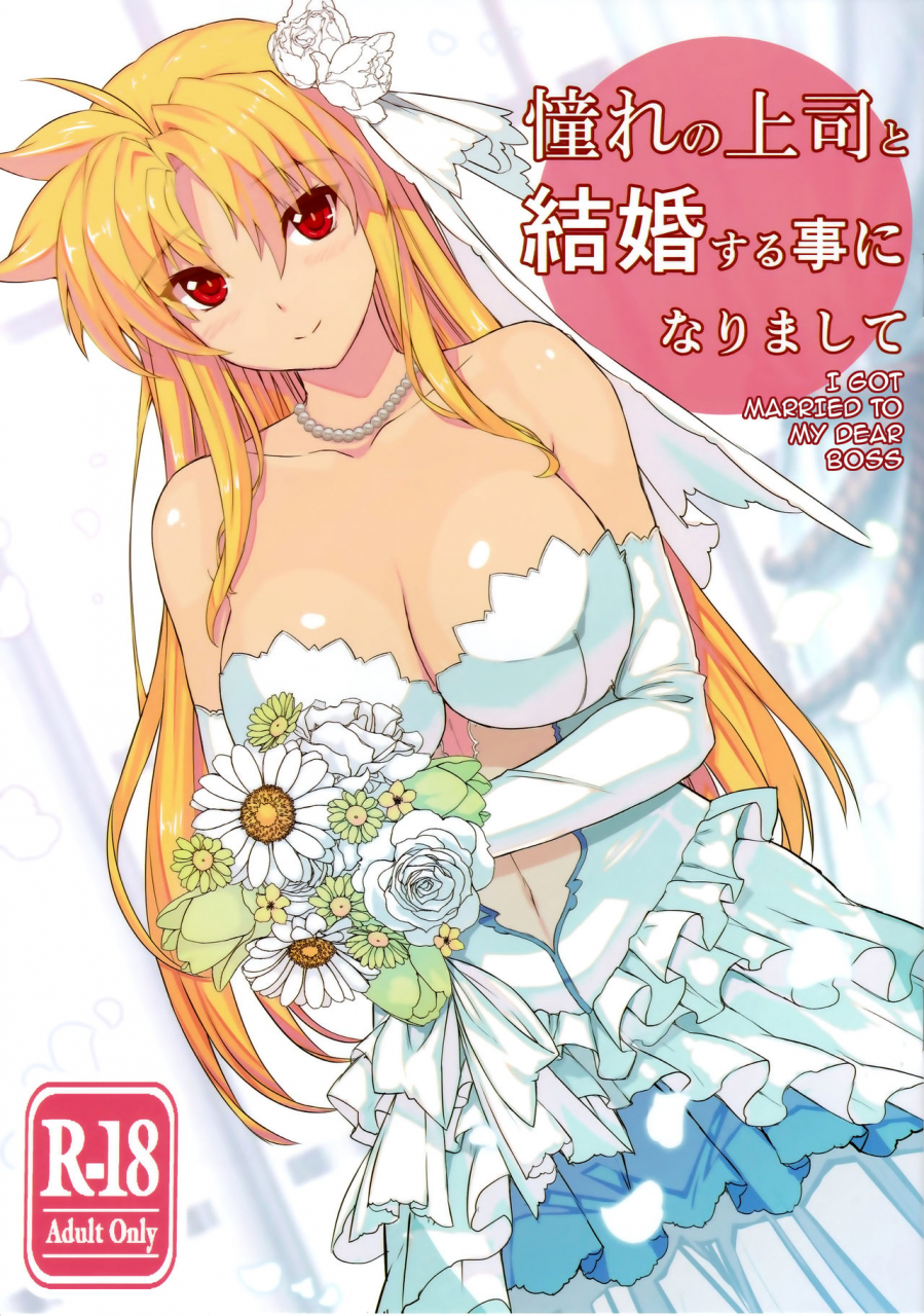 c93-studio-himawari-himukai-kyousuke-akogare-no-joushi-to-kekkon-suru-koto-ni-narimashite-mahou-shoujo-lyrical-nanoha-english-darknight