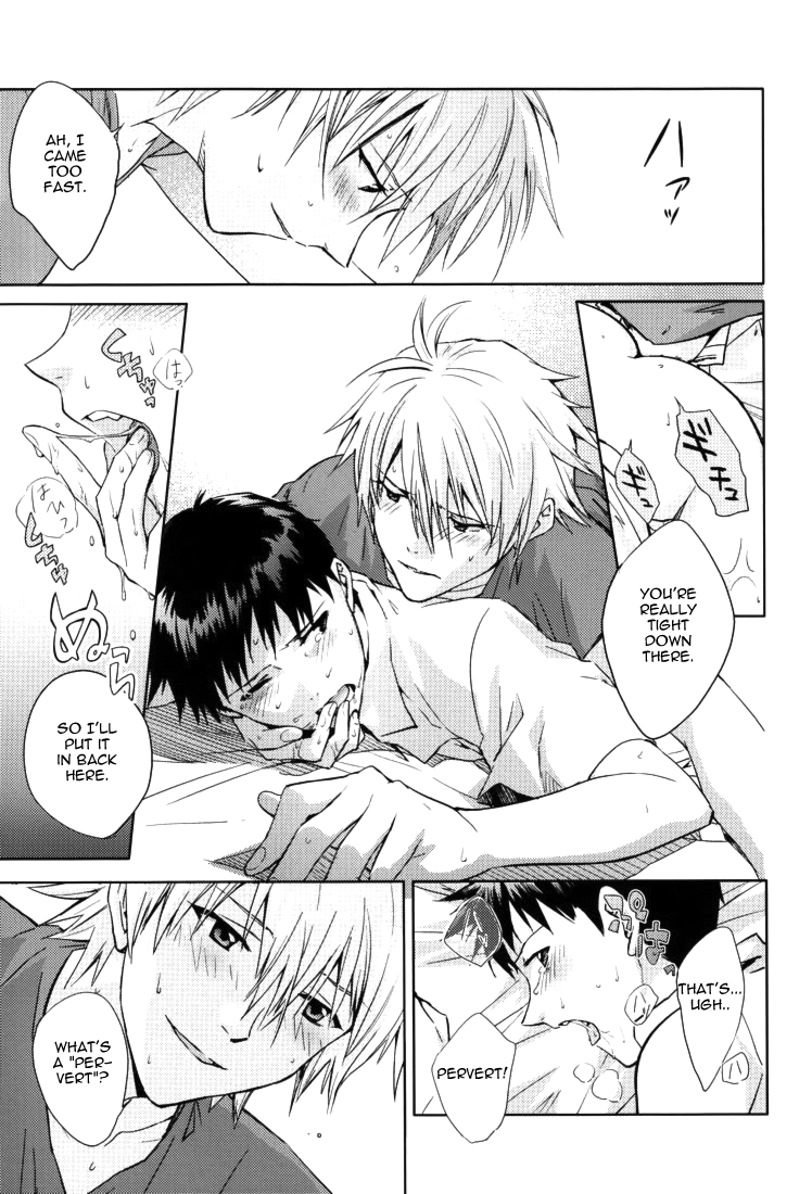 cctokyo123-cassino-magarikoji-lily-no-neon-genesis-evangelion-rational-madness