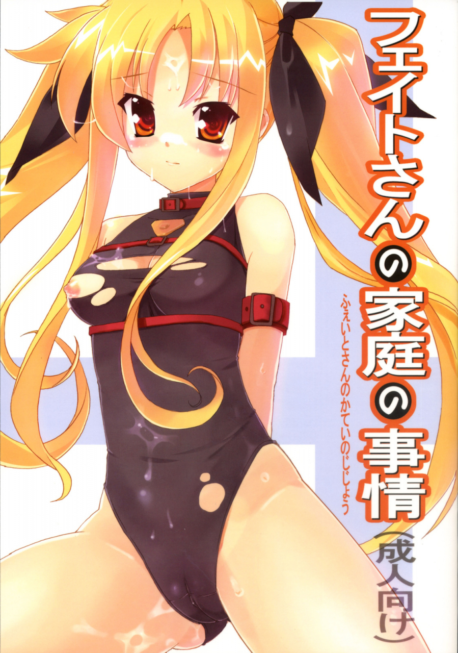 comic1-studio-himawari-himukai-kyousuke-fate-san-no-katei-no-jijou-fate-sans-family-circumstances-mahou-shoujo-lyrical-nanoha-english-lightshader