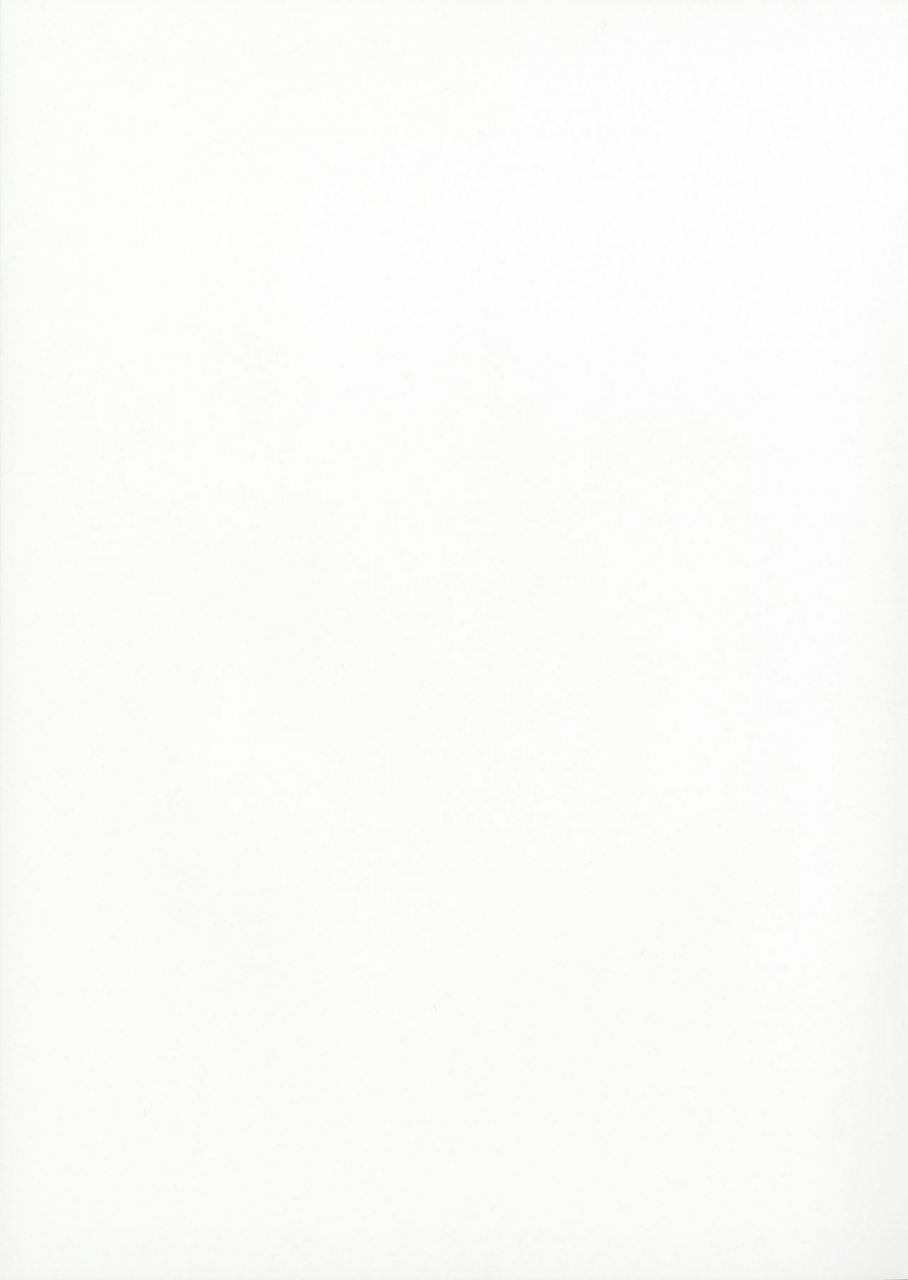 comic111-kansai-gyogyou-kyoudou-kumiai-marushin-order-made-pillow-fategrand-order-english-obsoletezero