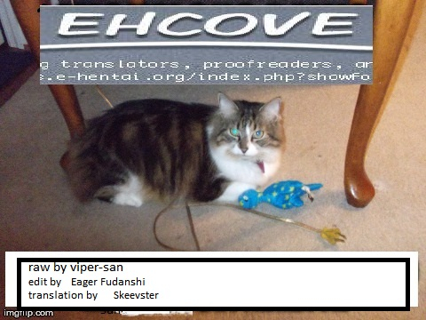 comic111-solid-air-zonda-ran-man-ranma-12-english-ehcove