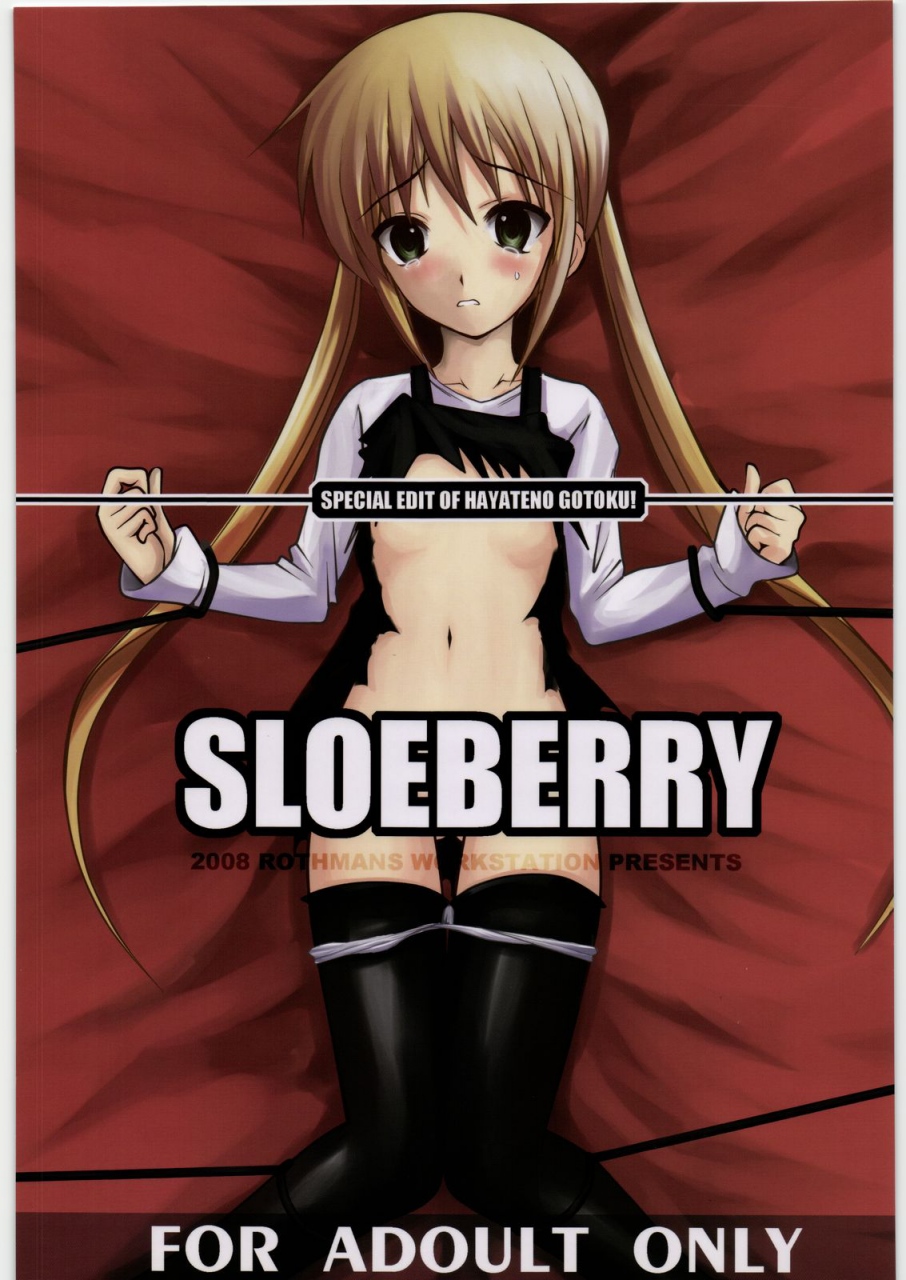comic12-r-works-ros-sloeberry-hayate-no-gotoku-english-rinruririn
