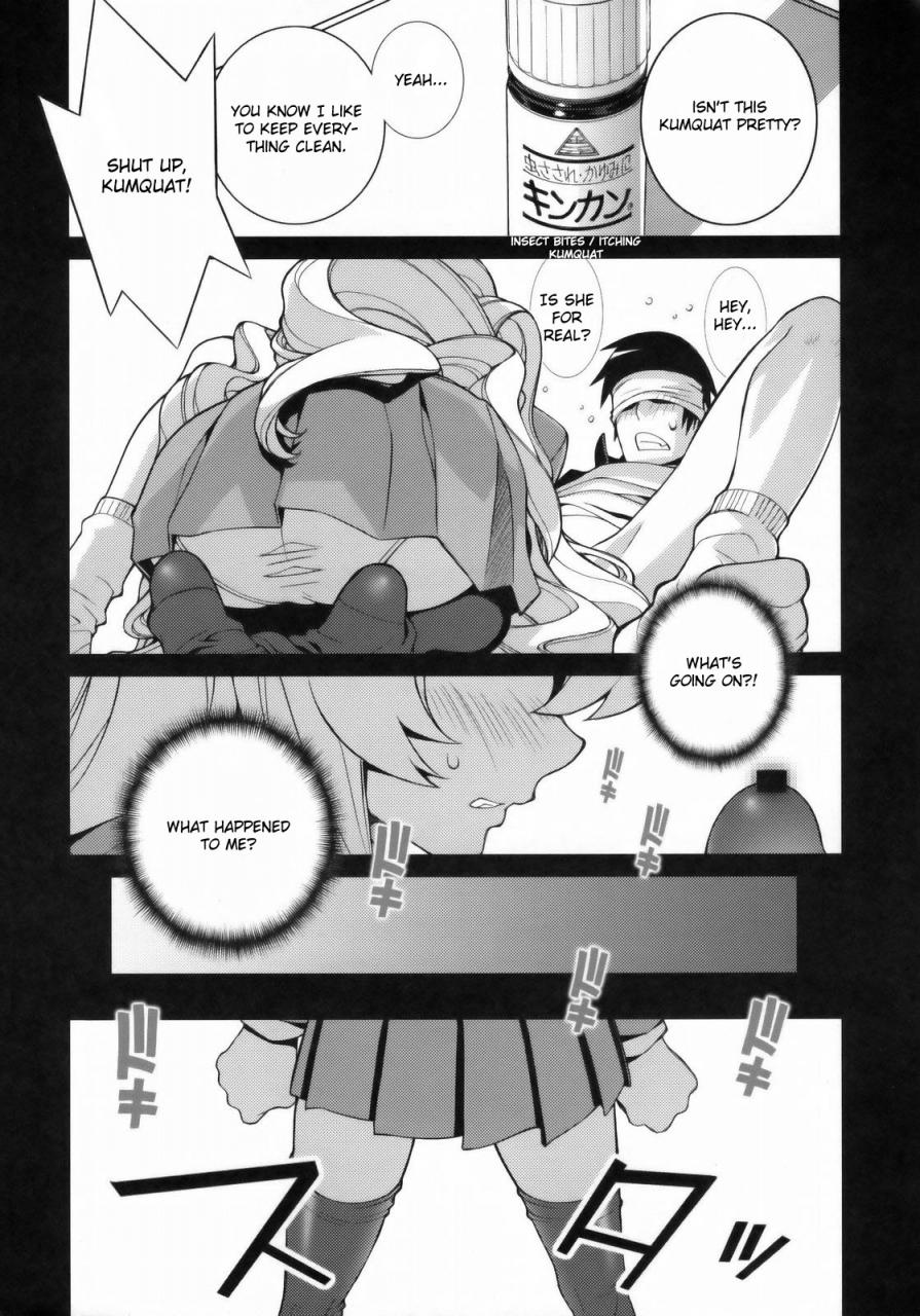 comic13-engram-motchie-umetsu-yukinori-nori-haru-tiger-balm-toradora-english-usual-translations