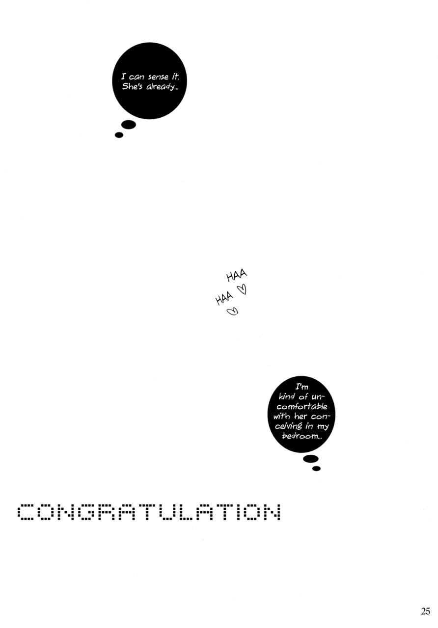 comic13-sato-samitt-satomi-sato-kessen-zenya-eve-of-the-decision-dragon-quest-v-english-chocolate