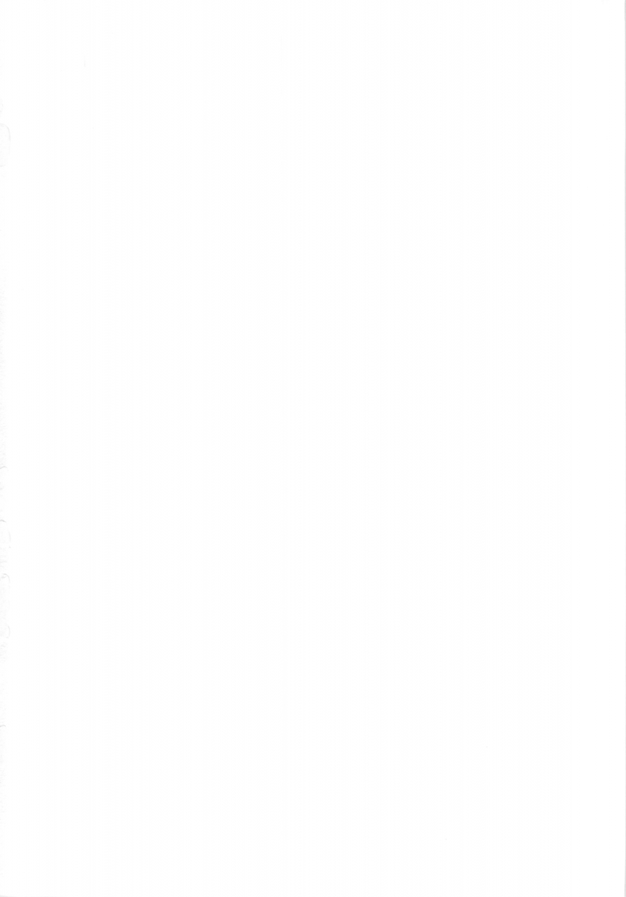 comic14-kamogawaya-kamogawa-tanuki-nines-side-n-mahou-shoujo-lyrical-nanoha-english-plative-tl