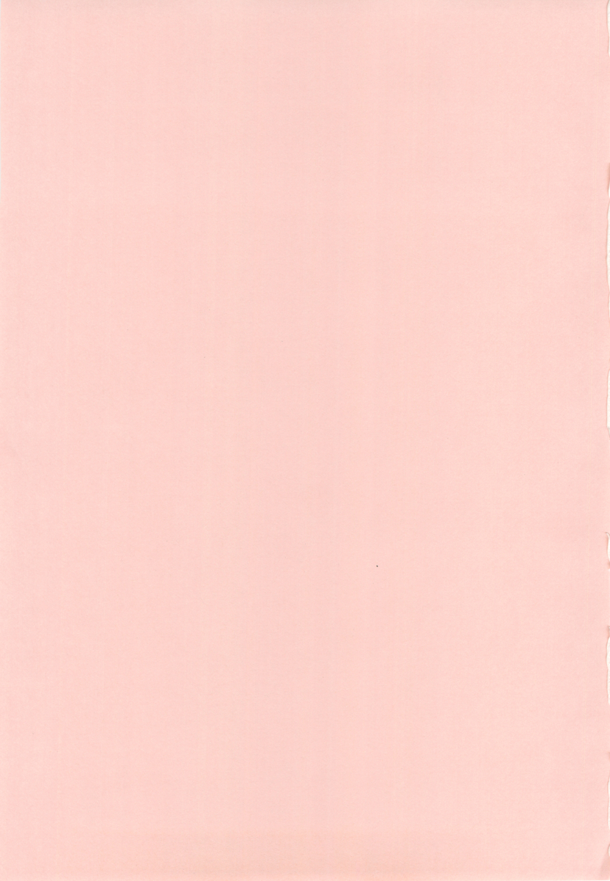 comic14-kamogawaya-kamogawa-tanuki-nines-side-n-mahou-shoujo-lyrical-nanoha-english-plative-tl