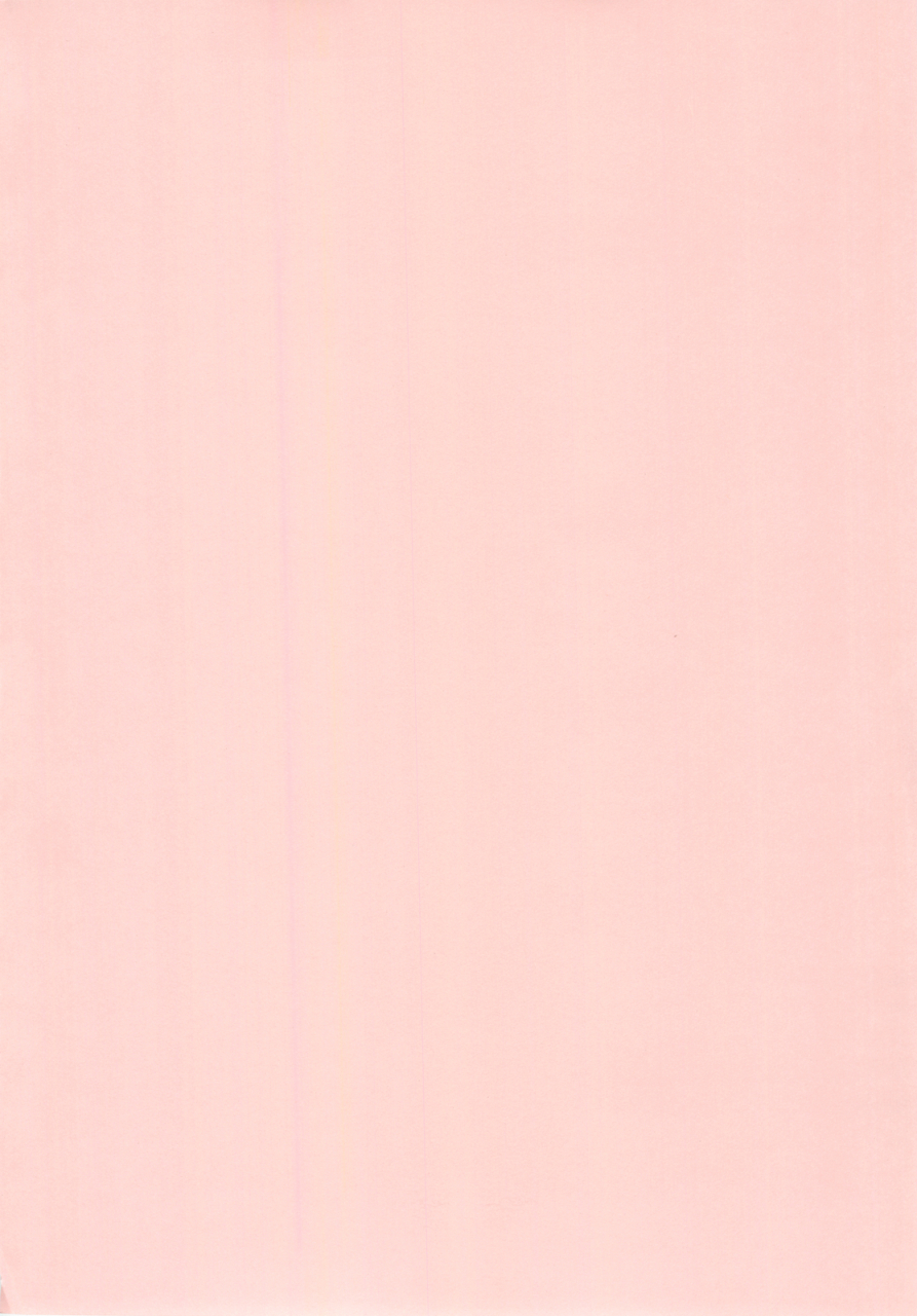 comic14-kamogawaya-kamogawa-tanuki-nines-side-n-mahou-shoujo-lyrical-nanoha-english-plative-tl