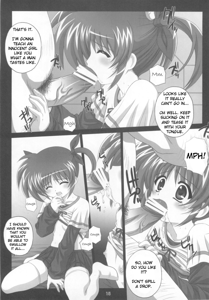 comic14-kamogawaya-kamogawa-tanuki-nines-side-n-mahou-shoujo-lyrical-nanoha-english-plative-tl