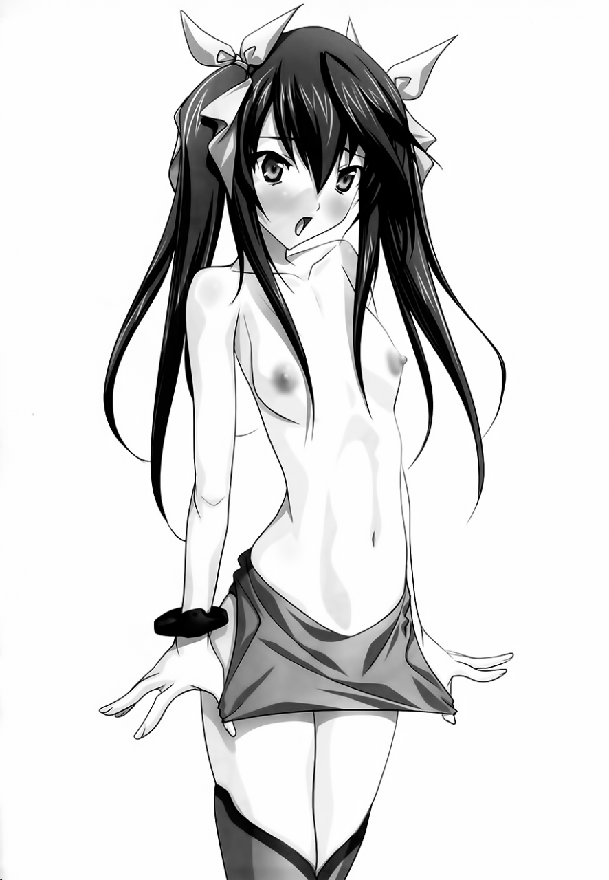 comic15-irodori-soyosoyo-his-infinite-stratos-english-tv