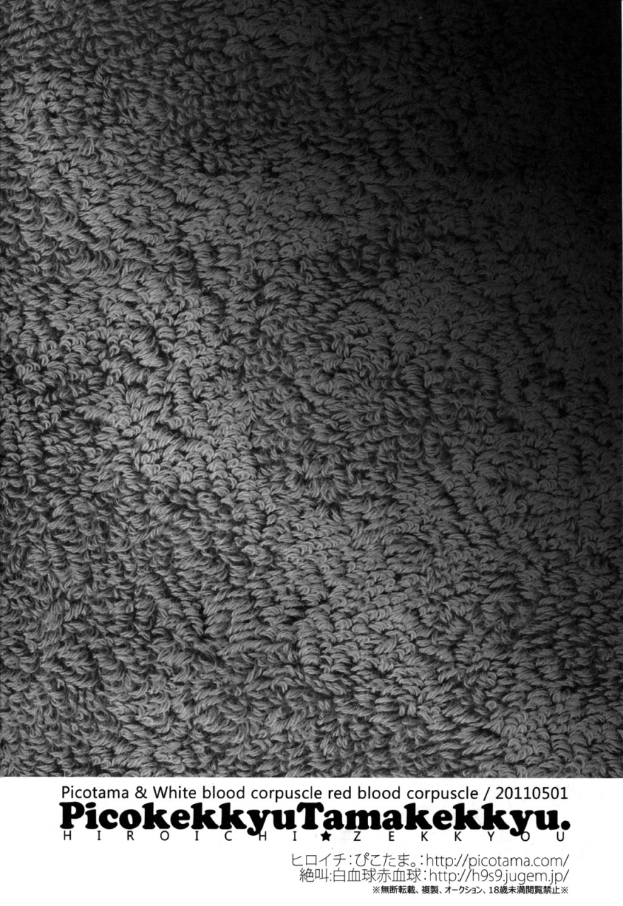 comic15-picotama-hakkekkyuu-sekkekkyuu-hiroichi-zekkyou-two-love-puella-magi-madoka-magica-english-soba-scans