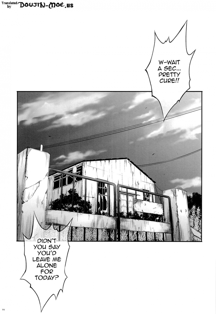 comic19-cyclone-izumi-reizei-t-23-okakugo-go-princess-precure-english-doujin-moeus