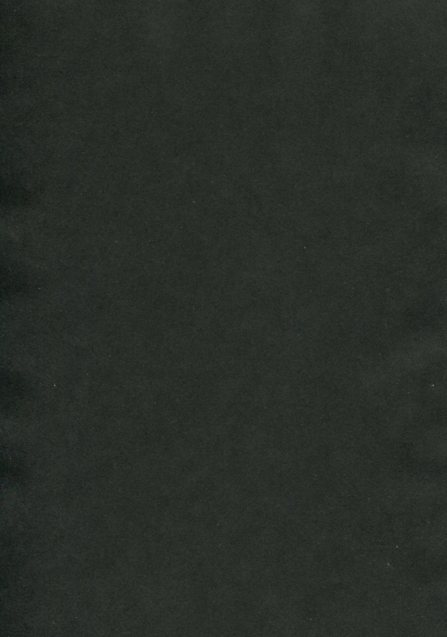 comitia-99-ahobaka-aho-karyuu-koujo-wa-kimagure-ni-english-desudesu