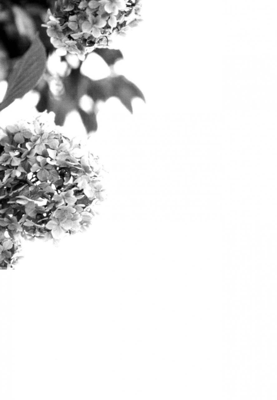 comitia117-aoiro-ichiza-aoiro-ichigou-nora-neko-to-rainy-days-english-shotachan