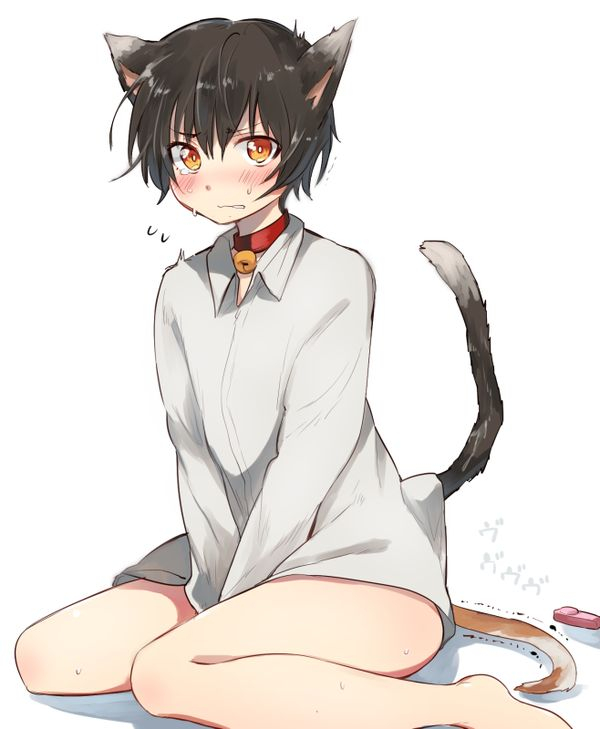 comitia117-aoiro-ichiza-aoiro-ichigou-nora-neko-to-rainy-days-english-shotachan