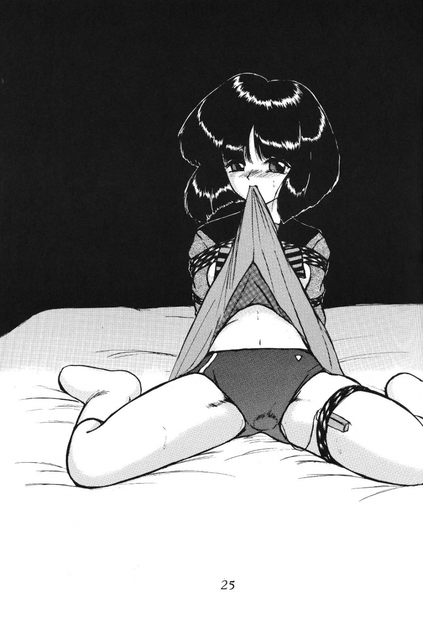 cr29-thirty-saver-street-2d-shooting-various-silent-saturn-ss-vol-1-sailor-moon-english