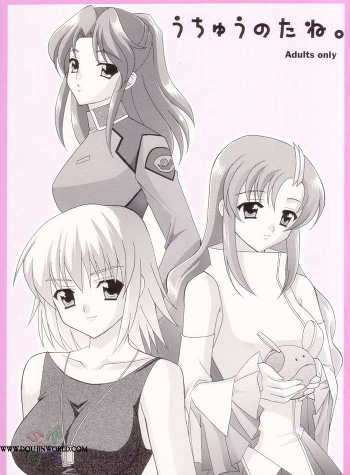 cr33-teruo-haruo-kanekiyo-miwa-uchu-no-tane-gundam-seed-english