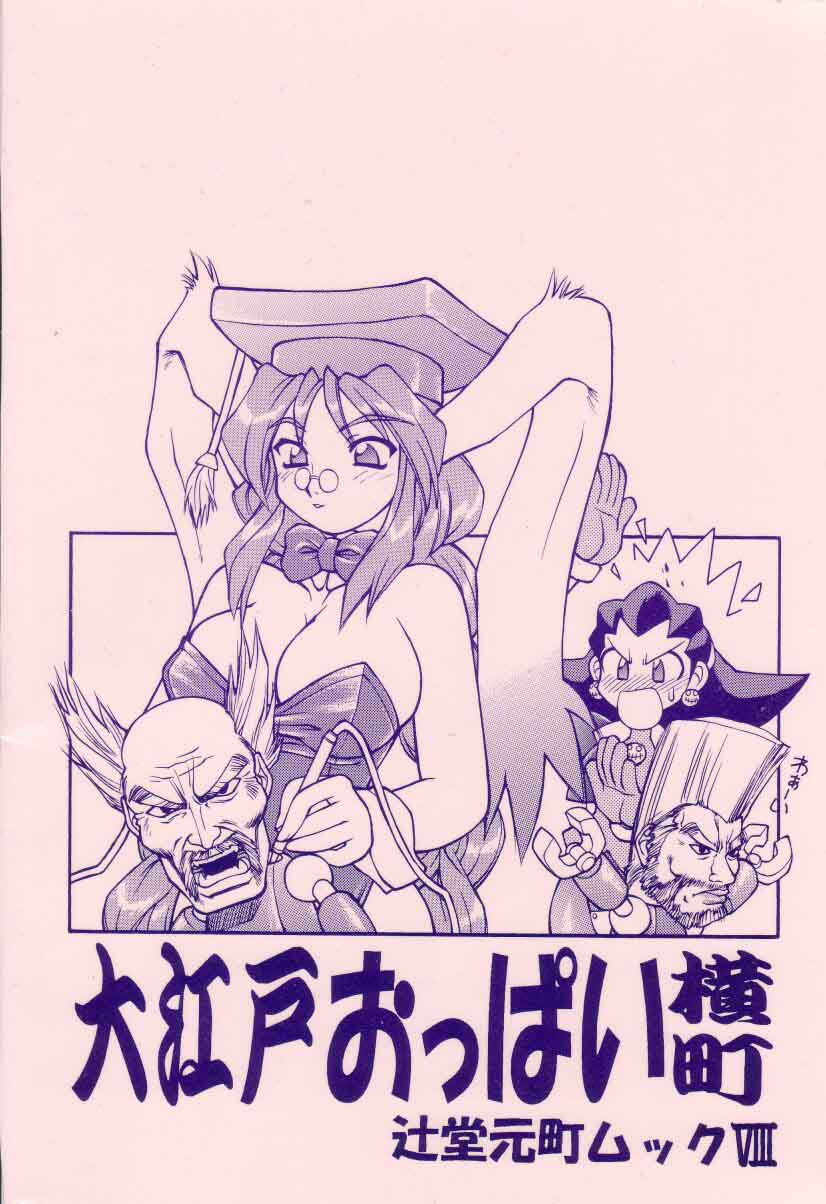 cr33-tsujidou-motomachi-neriwasabi-ooedo-oppai-yokochou-various-english-brolen