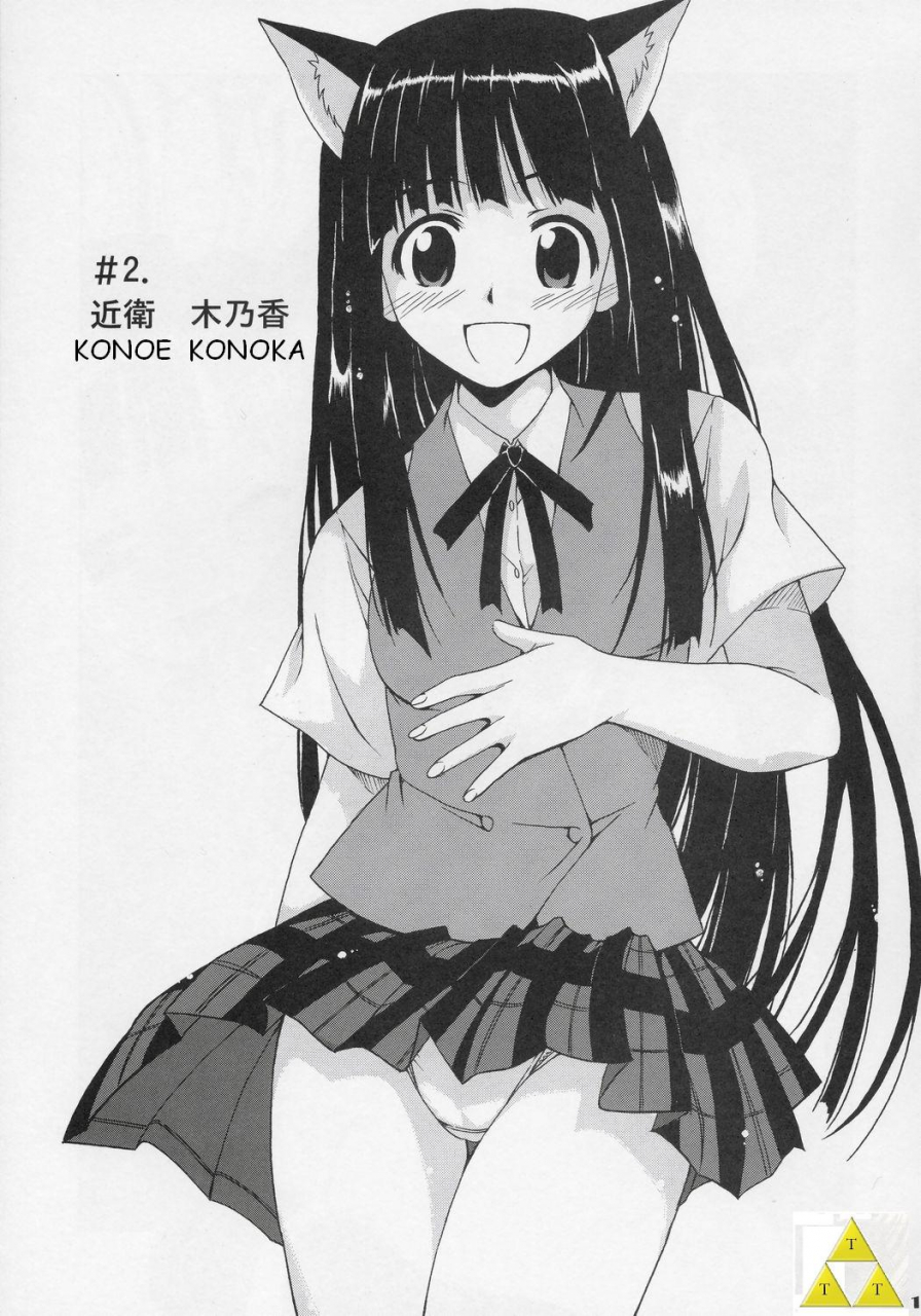 cr37-big-boss-hontai-bai-jet-stream-attack-hakugeki-triple-musume-mahou-sensei-negima-english-trinity-translations