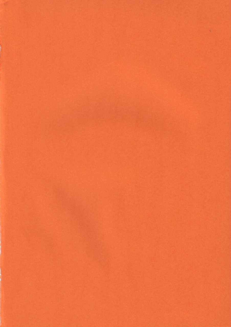 csp4-ii-naohiro-shinji-03-neon-genesis-evangelion-english-hmedia