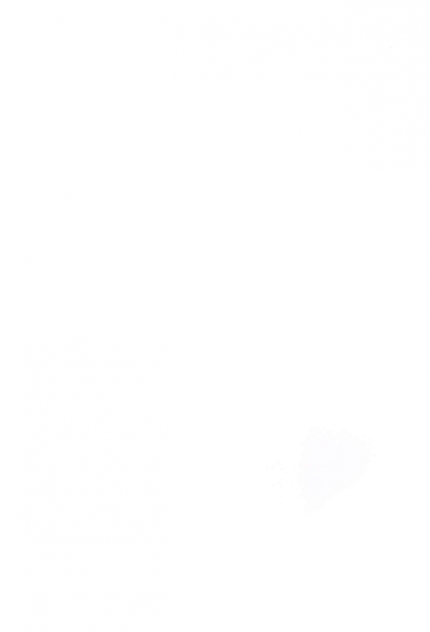 ct31-brand-nyu-nyu-risei-jouhatsu-astolfo-fategrand-order-english-mysterymeat3