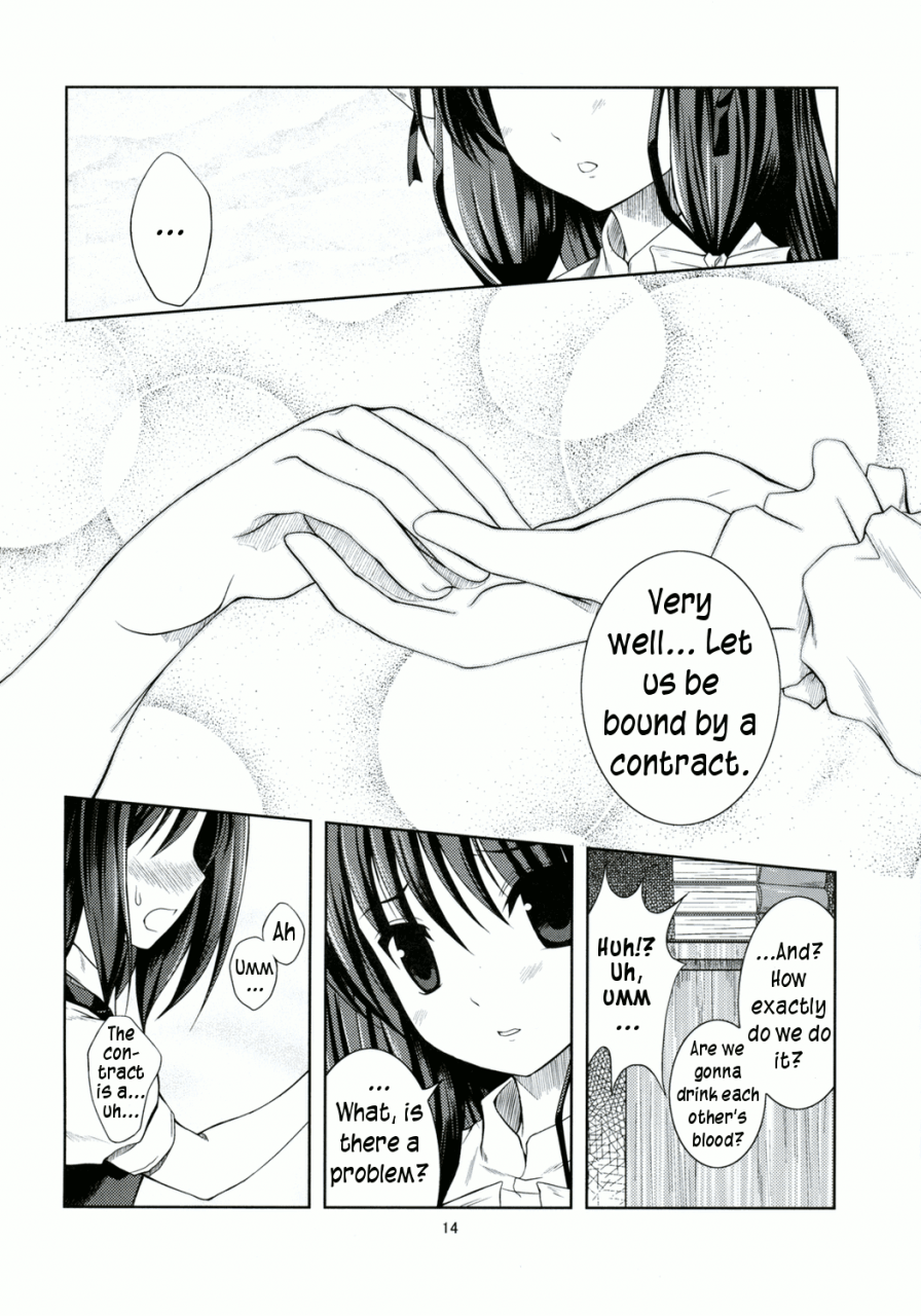 comicomi12-memoria-tilm-akuma-no-doukei-a-devils-desire-touhou-project-english-wings-of-yuri