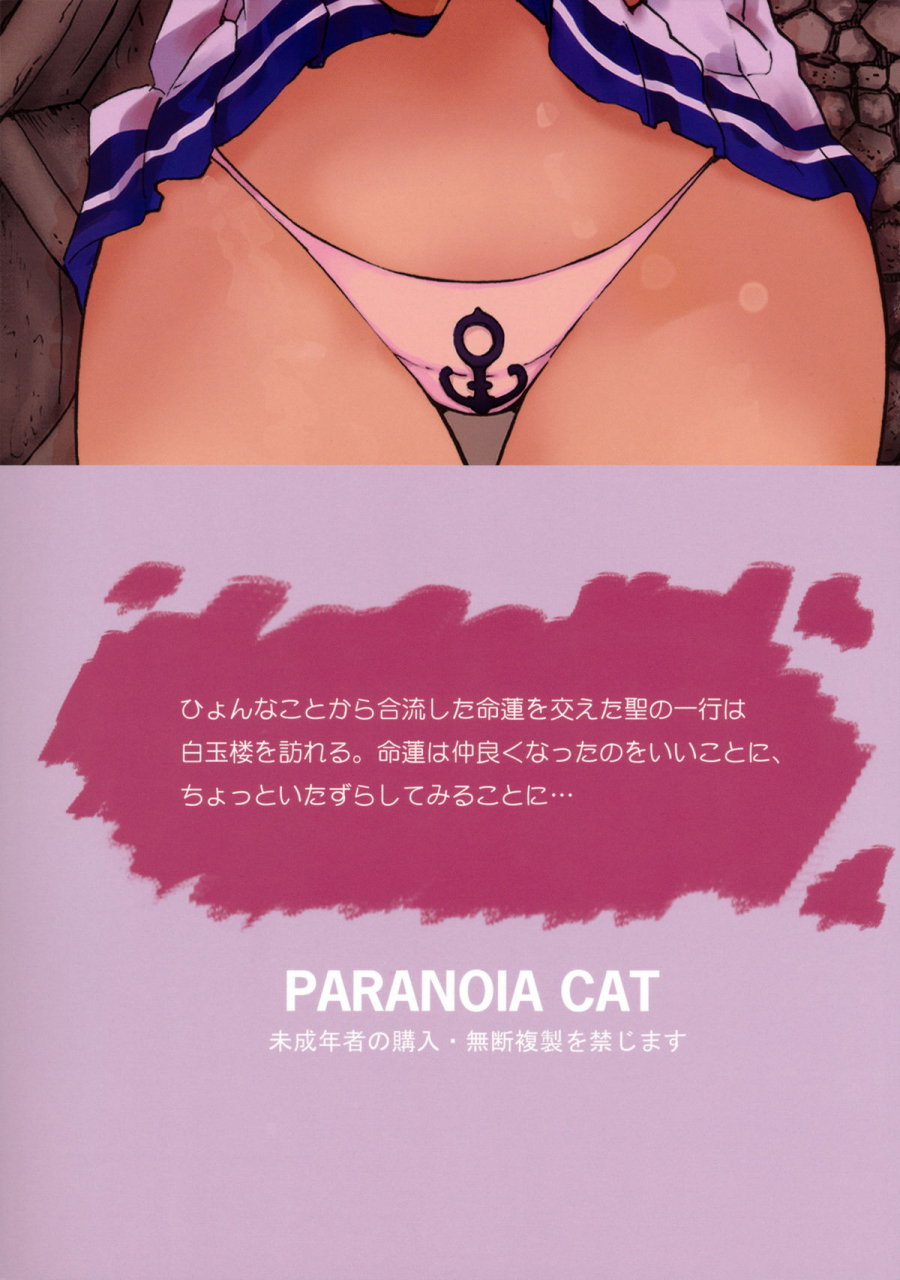 comicomi15-paranoia-cat-fujiwara-shunichi-touhou-ukiyo-emaki-seinaru-seinaru-fune-no-kiseki-no-kiseki-2-touhou-project-english