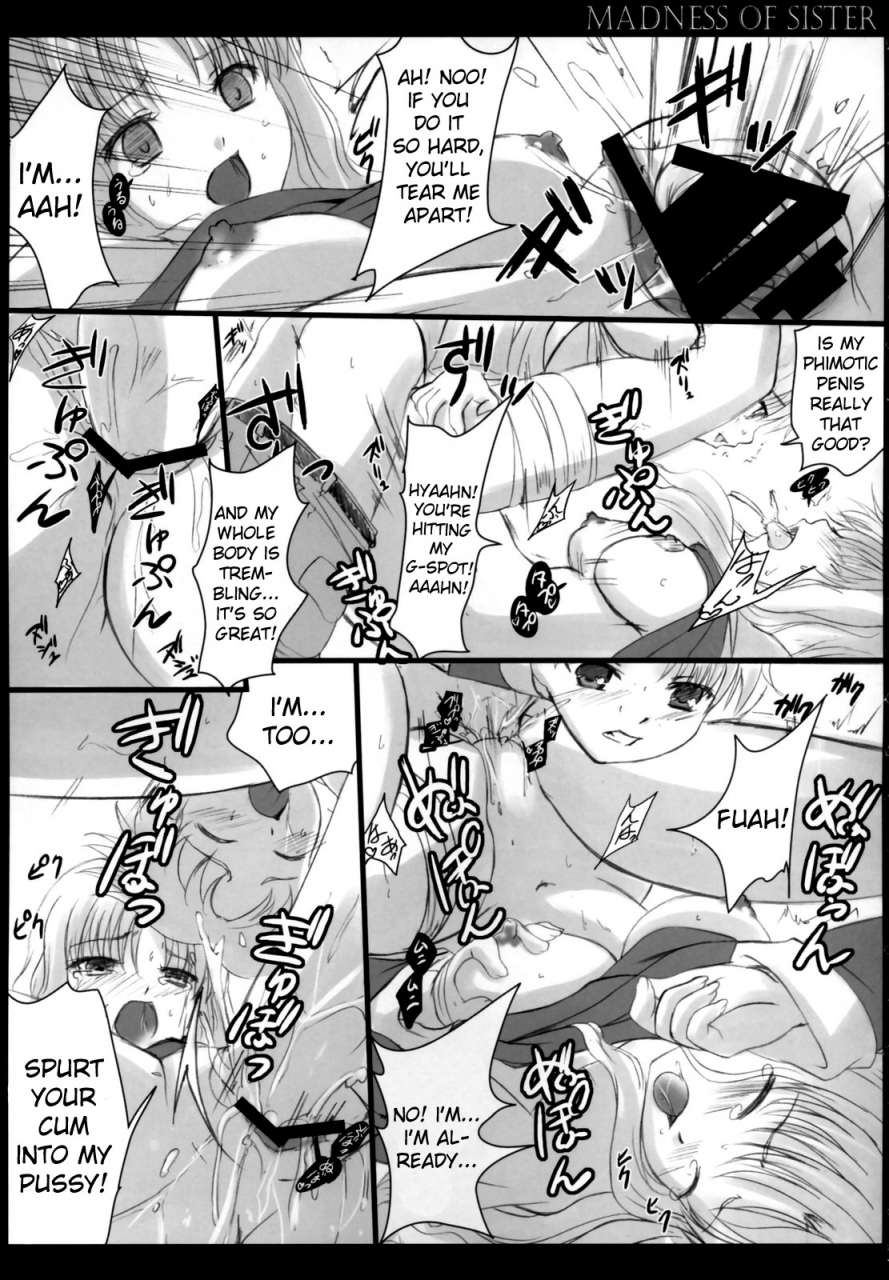 comic-castle-2006-haru-tamaranchi-shinbo-tamaran-q-gaku-madness-of-sister-fate-hollow-ataraxia-english-usual-translations