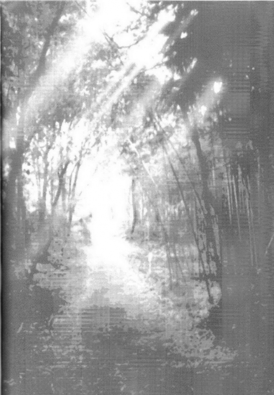 douyara-deban-no-youda-4-sakana-kusai-sakamei-hamachi-yoru-wa-mijikashi-koiseyo-shounen-boku-no-hero-academia-english-tamanegi-scans