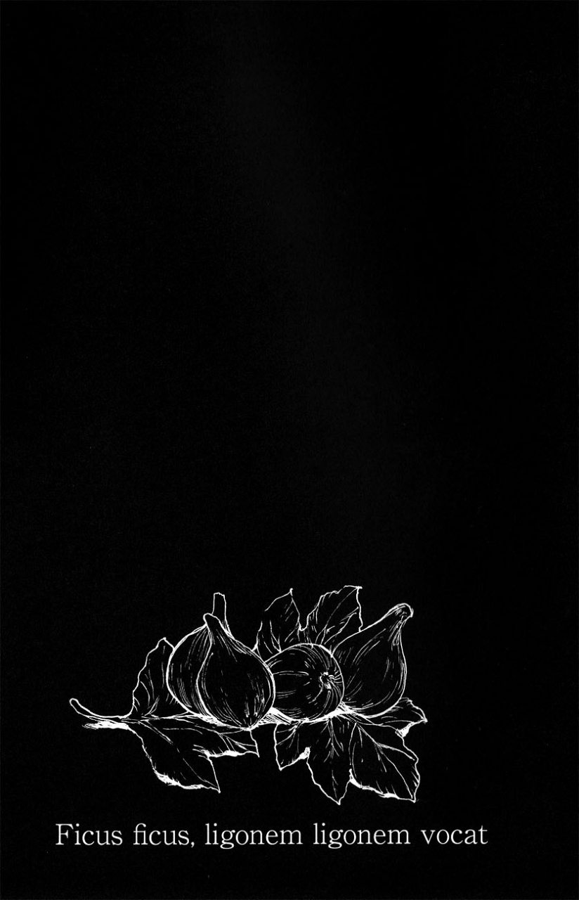 fall-of-wall-osaka-ongire-tamy-ficus-2-shingeki-no-kyojin-english-moy-moe-scans