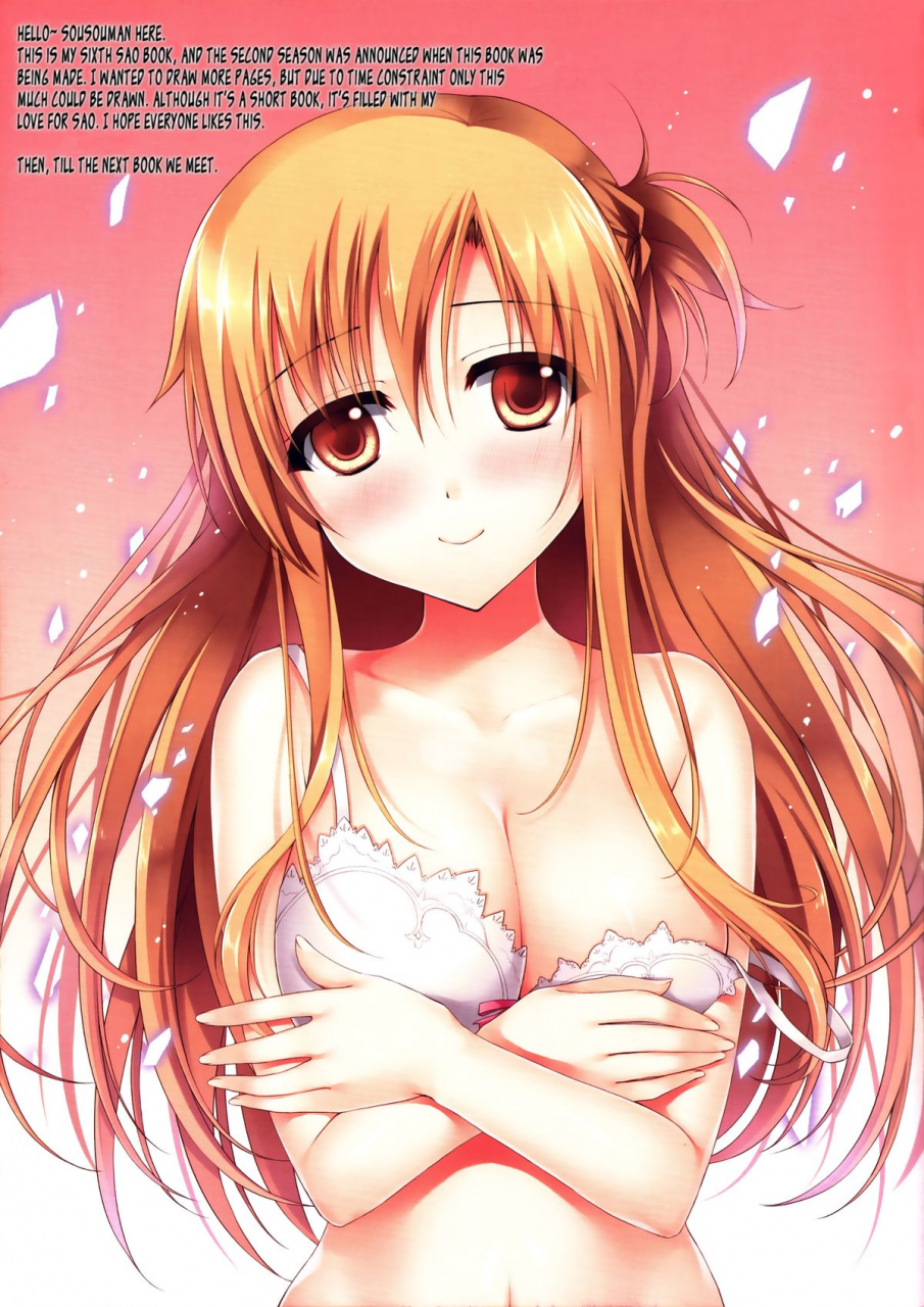 ff24-twinbox-sousouman-hanahanamaki-niizuma-to-issho-sword-art-online-english-ehcove