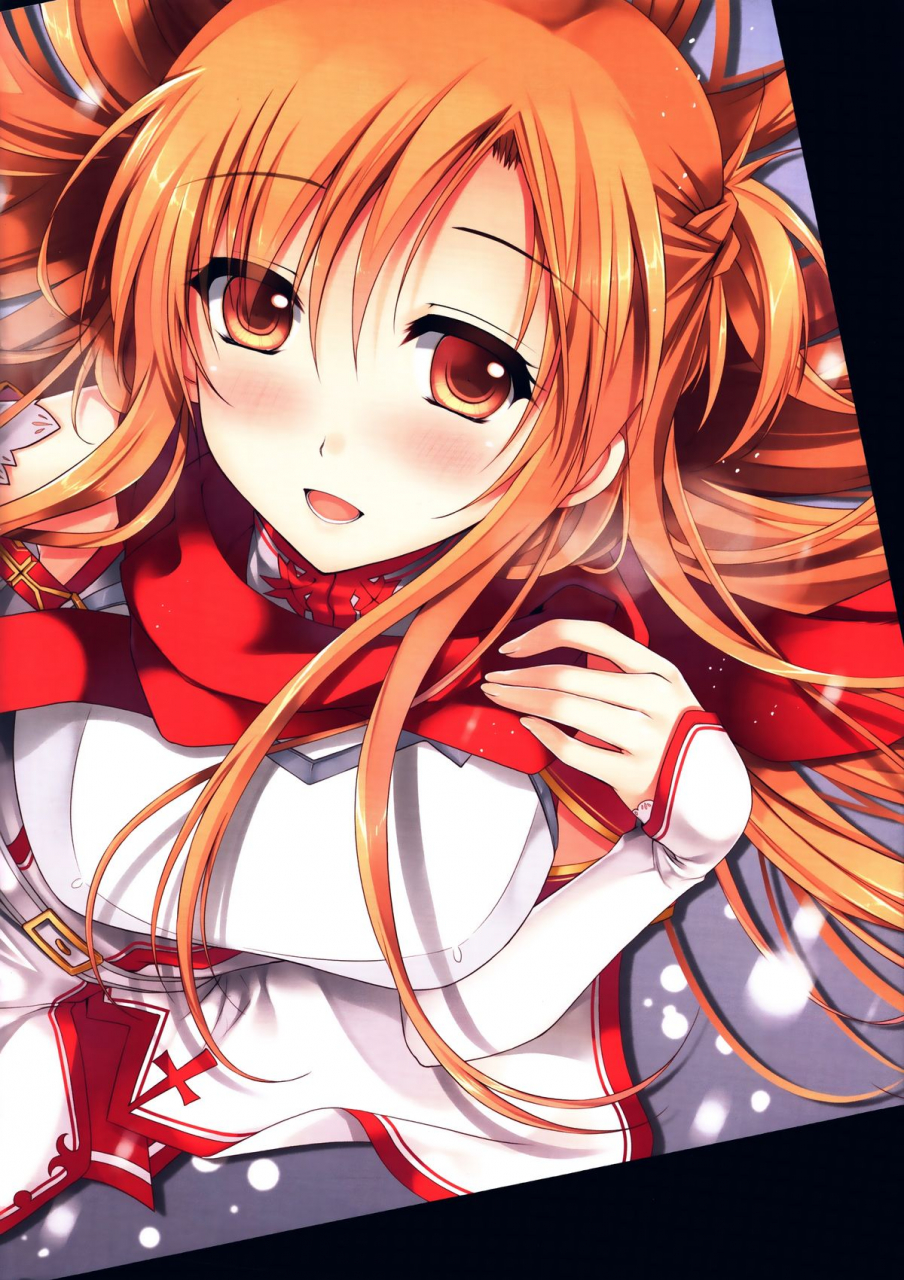 ff24-twinbox-sousouman-hanahanamaki-niizuma-to-issho-sword-art-online-english-ehcove