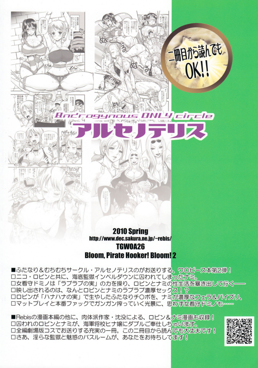 futaket-6-arsenothelus-rebis-chinbotsu-midarezaki-joshuu-kaizoku-2-robin-to-nami-no-love-love-mitsu-shibori-hen-one-piece-english