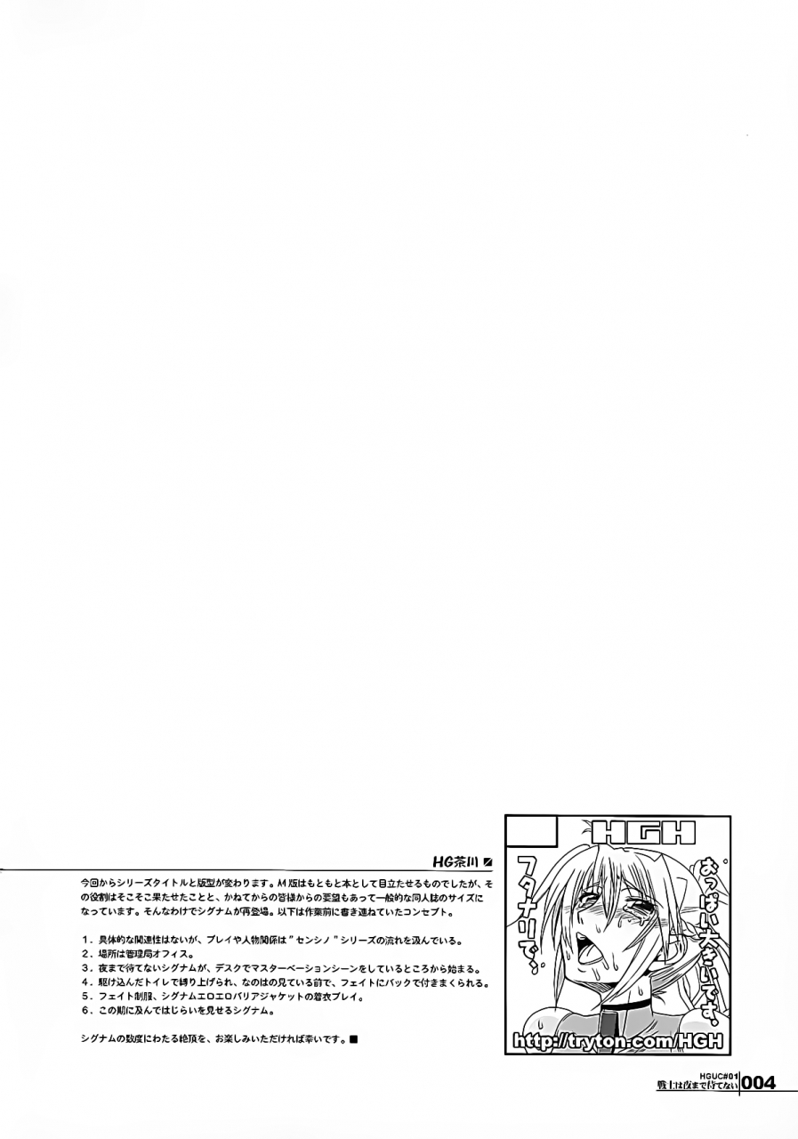 futaket-8-hgh-hg-chagawa-hguc01-senshi-ha-yoru-made-mate-nai-mahou-shoujo-lyrical-nanoha-english-ragdoll