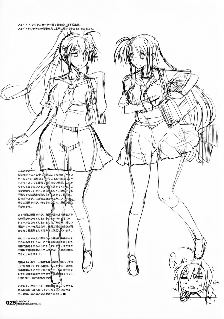 futaket-8-hgh-hg-chagawa-hguc01-senshi-ha-yoru-made-mate-nai-mahou-shoujo-lyrical-nanoha-english-ragdoll