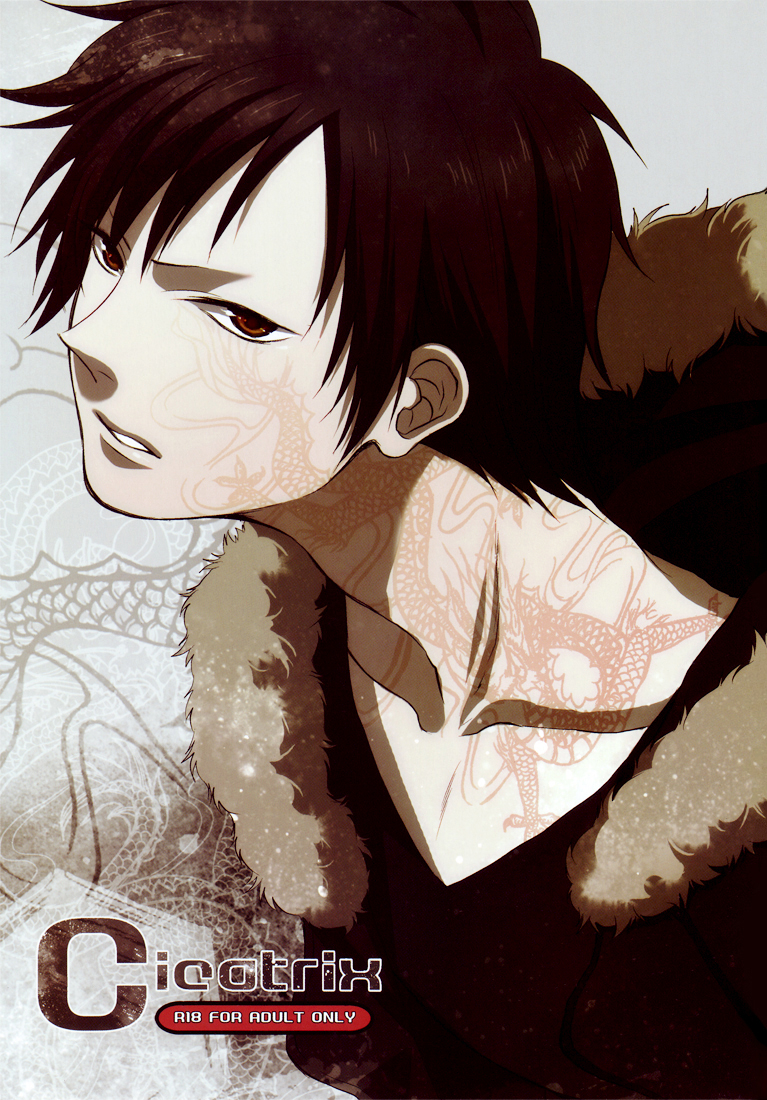 good-comic-city-17-eartheater-dorina-cicatrix-durarara-english-yaoi-sei