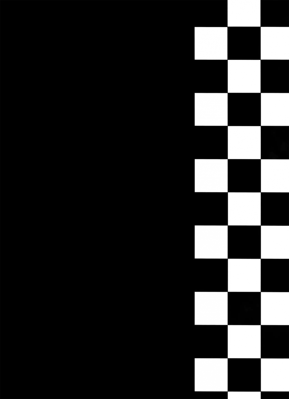 harucc13-kurohinabako-kuro-hiyoko-mugen-yuugi-dgray-man-english-ehcove