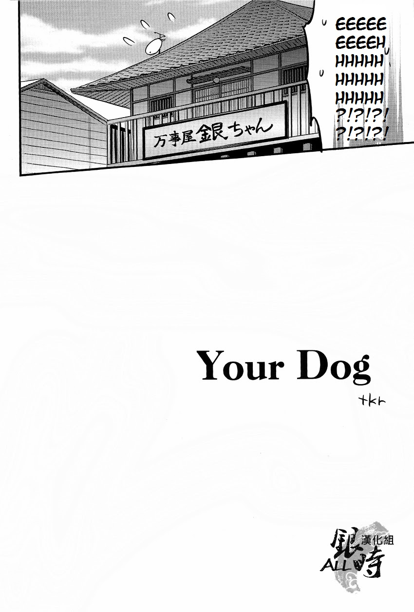 harucc18-3745house-tekkag-mikami-takeru-haru-how-to-spoil-your-dog-gintama-english-valc21