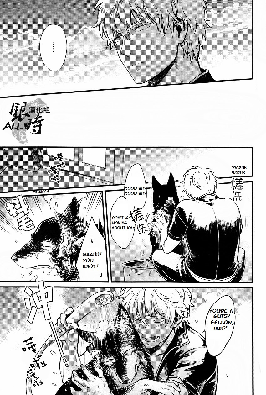 harucc18-3745house-tekkag-mikami-takeru-haru-how-to-spoil-your-dog-gintama-english-valc21
