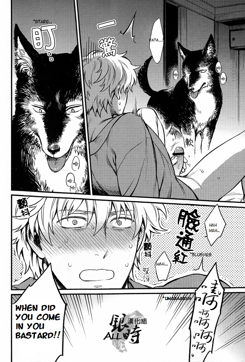harucc18-3745house-tekkag-mikami-takeru-haru-how-to-spoil-your-dog-gintama-english-valc21