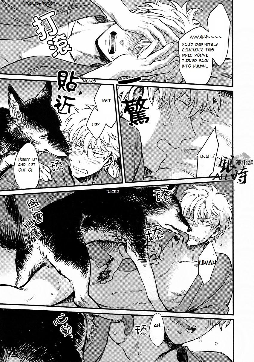harucc18-3745house-tekkag-mikami-takeru-haru-how-to-spoil-your-dog-gintama-english-valc21