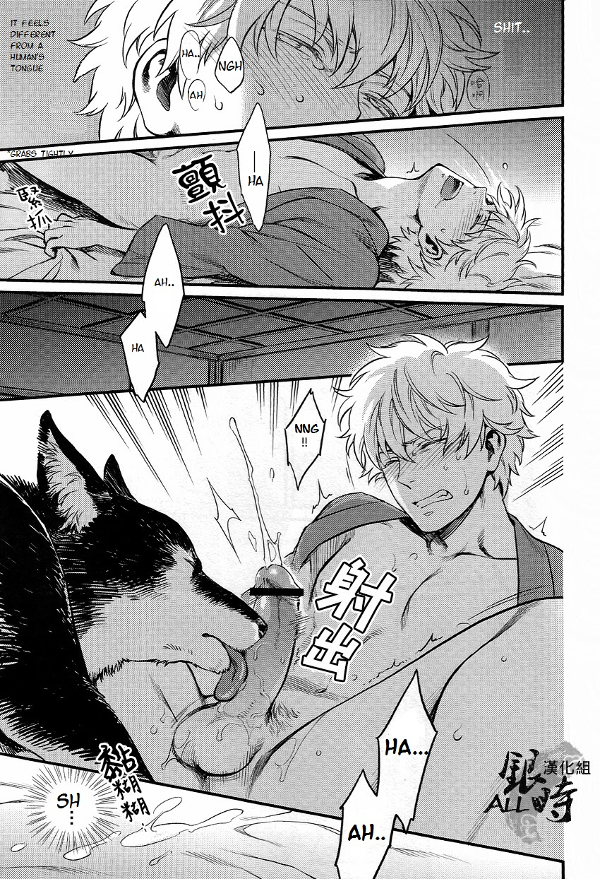 harucc18-3745house-tekkag-mikami-takeru-haru-how-to-spoil-your-dog-gintama-english-valc21